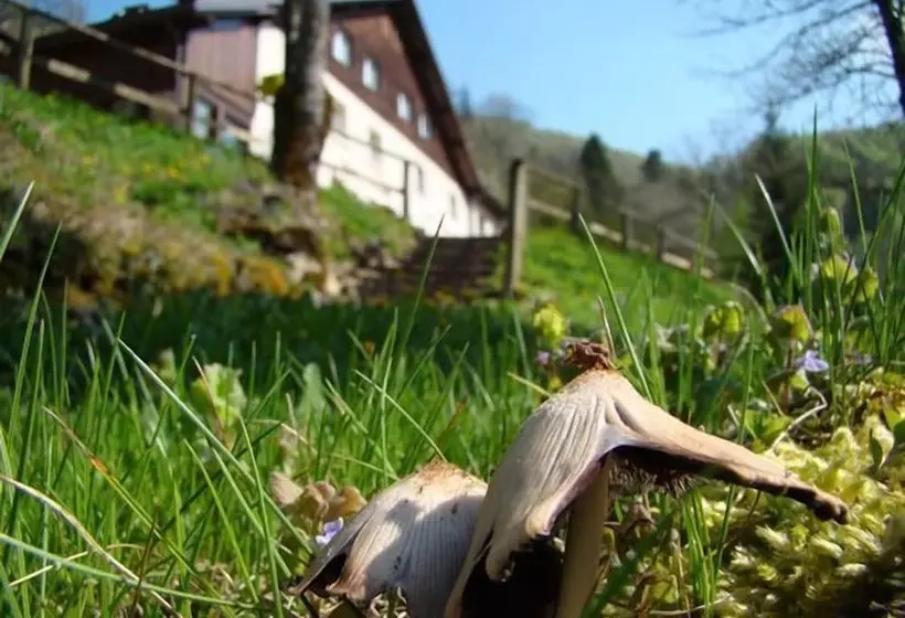 Отель Hôtel Restaurant Le Moulin Du Plain