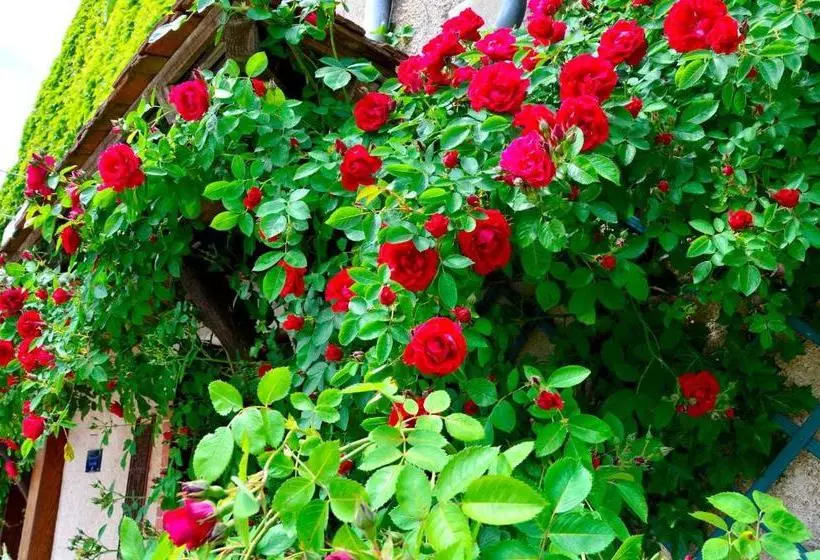 Отель Auberge La Croix Blanche