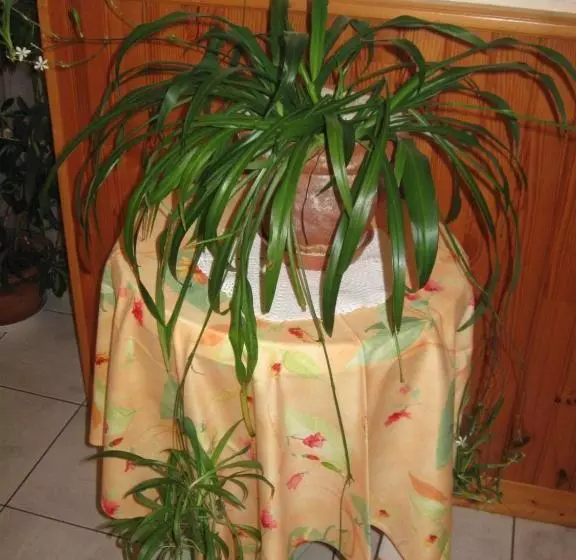 호텔 Restaurant Le Provençal