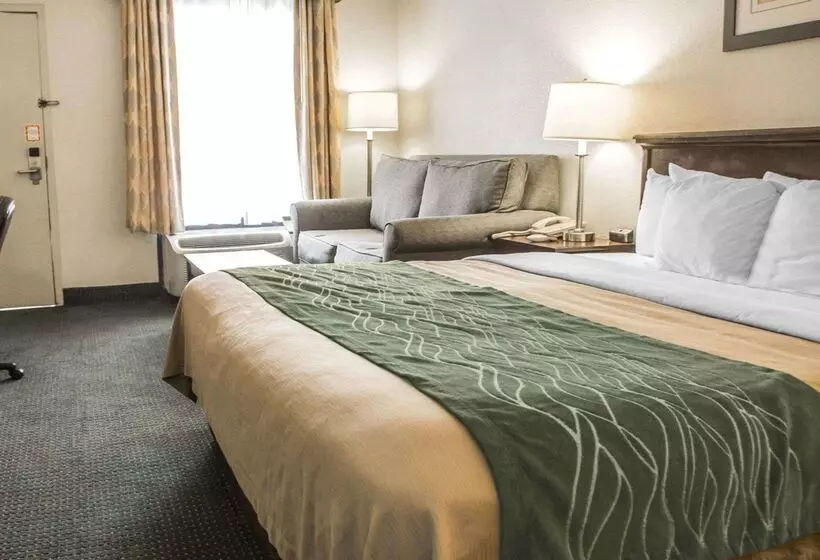 Hotel Quality Inn Riverside Near Ucr And Downtown