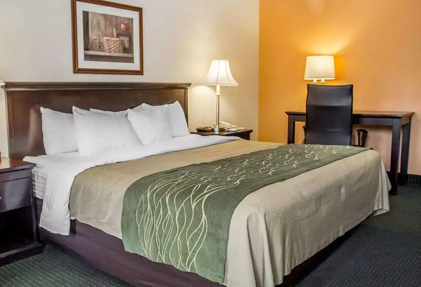 Hotel Quality Inn Riverside Near Ucr And Downtown