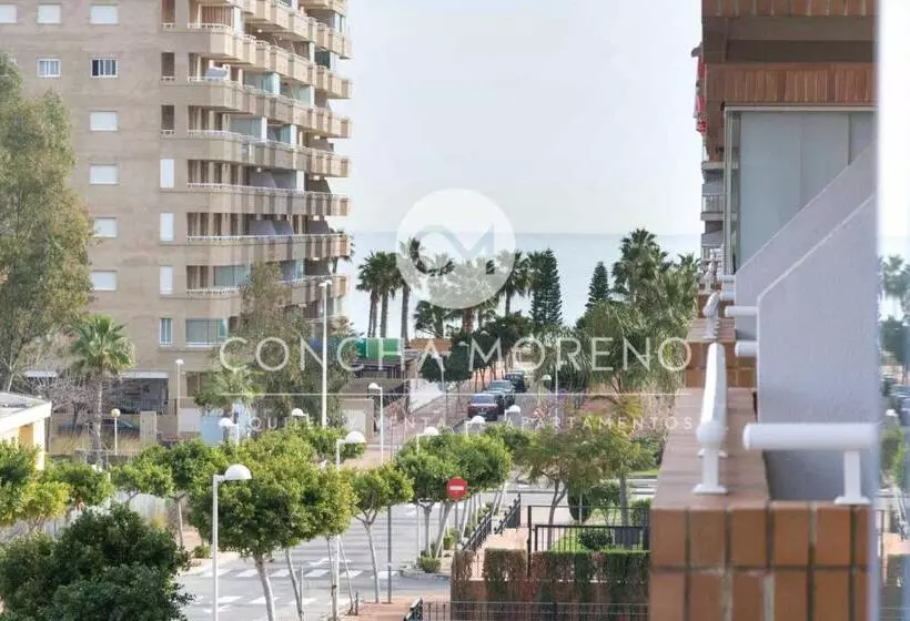 Torremar Cm