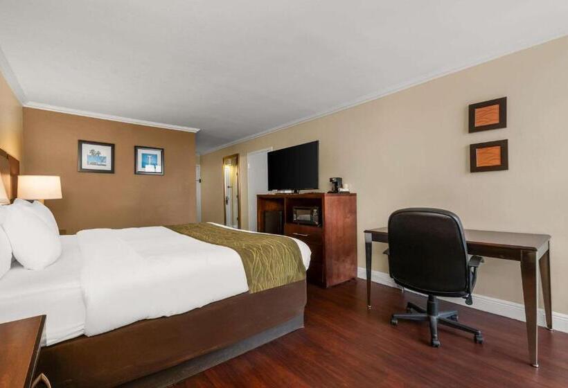 בית מלון כפרי Comfort Inn Oceanside Deerfield Beach