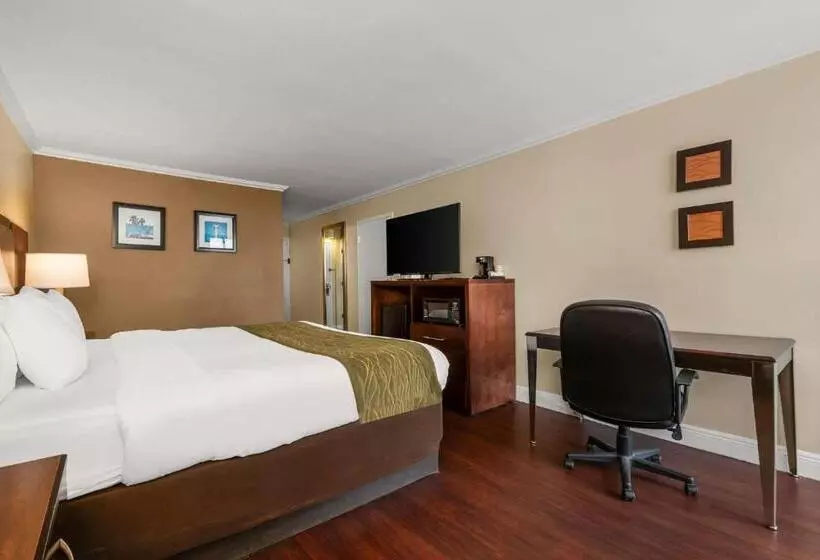 호텔 Comfort Inn Oceanside Deerfield Beach