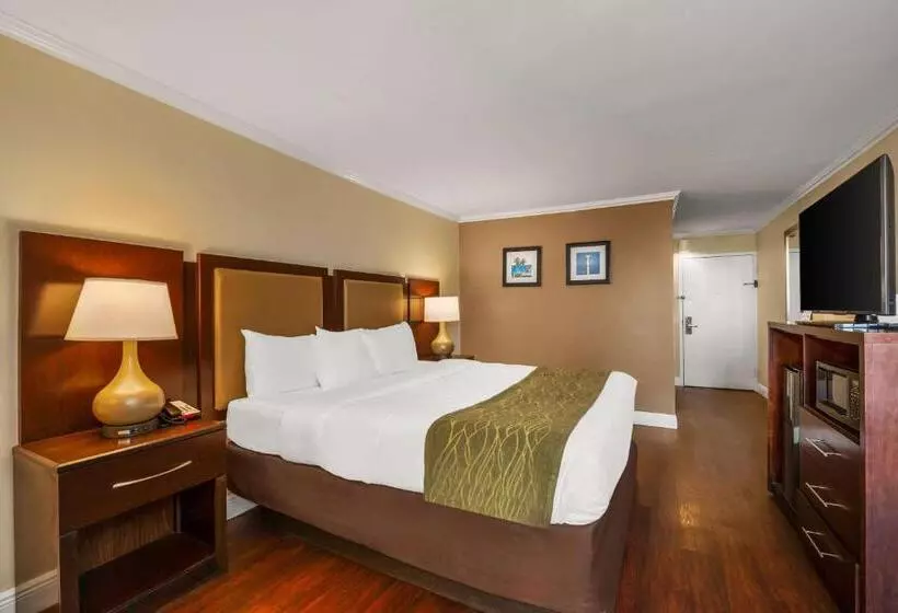 호텔 Comfort Inn Oceanside Deerfield Beach