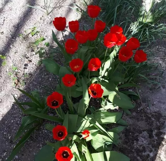 酒店 Logis Le Ceans