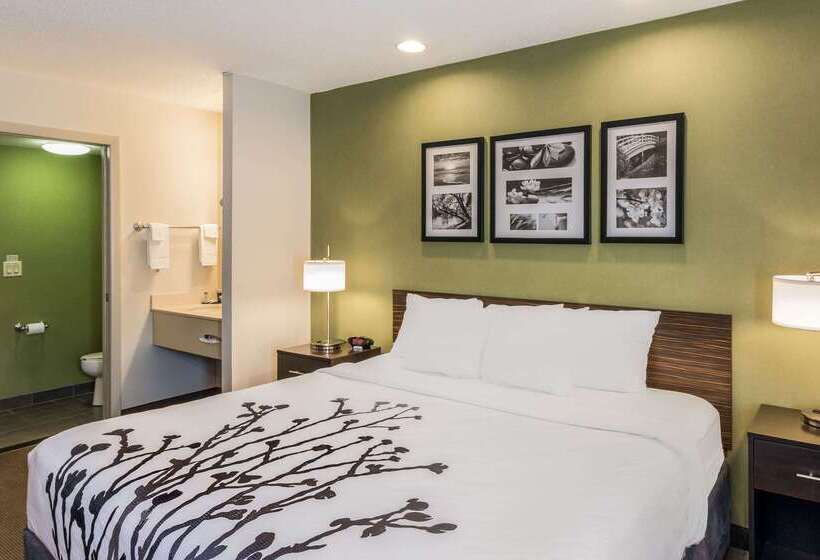 فندق Sleep Inn & Suites