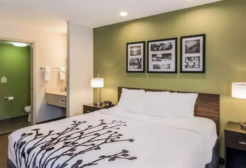 Отель Sleep Inn & Suites