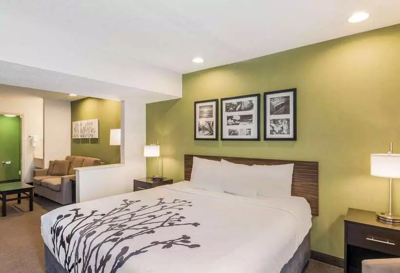 Отель Sleep Inn & Suites