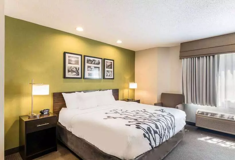 Отель Sleep Inn & Suites