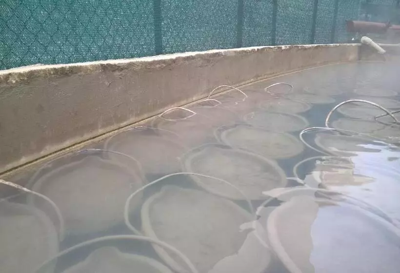 ホテル Terme Belvedere