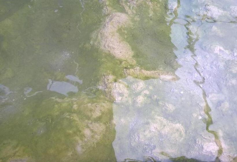 ホテル Terme Belvedere