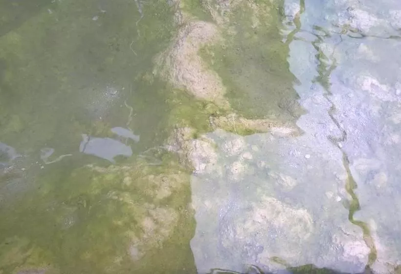 ホテル Terme Belvedere