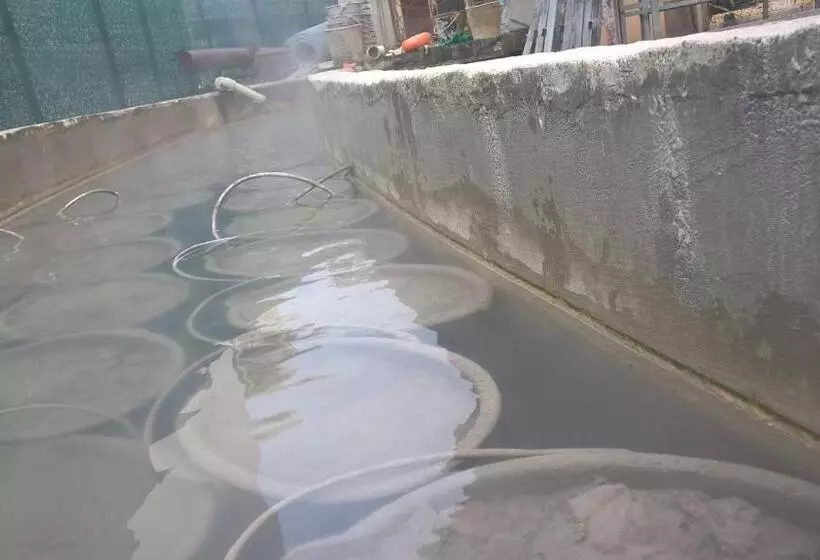 ホテル Terme Belvedere