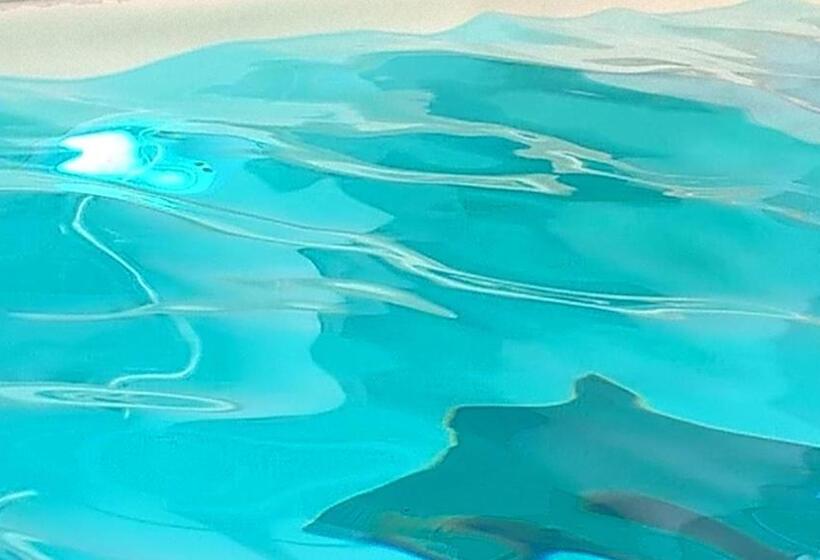 ホテル Terme Belvedere