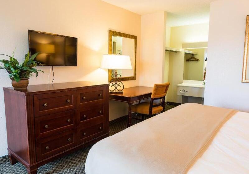 בית מלון כפרי Vista Inn And Suites Tampa