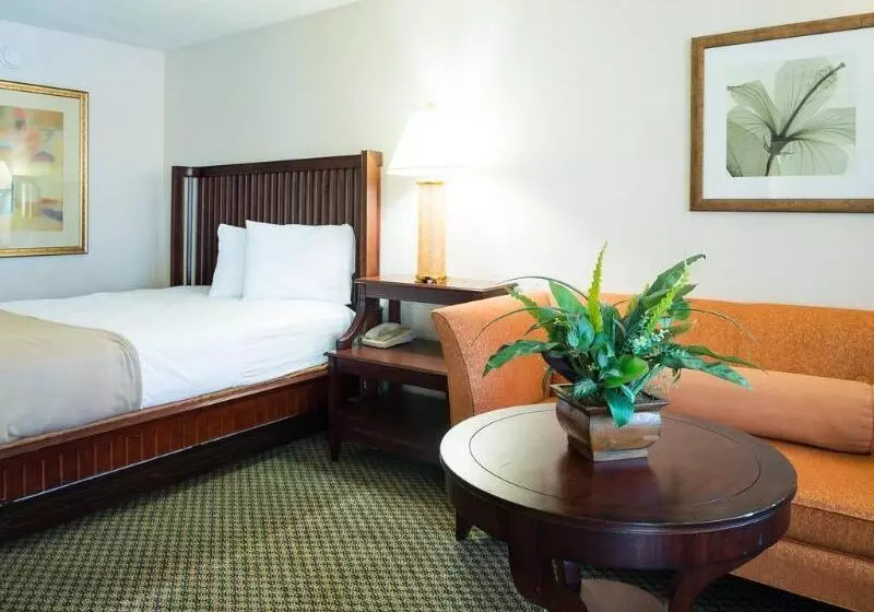 فندق Vista Inn And Suites Tampa