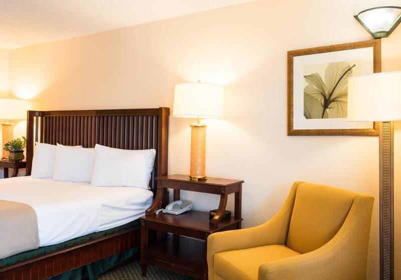 בית מלון כפרי Vista Inn And Suites Tampa