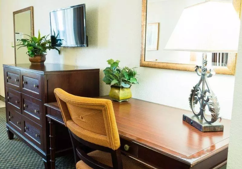 فندق Vista Inn And Suites Tampa