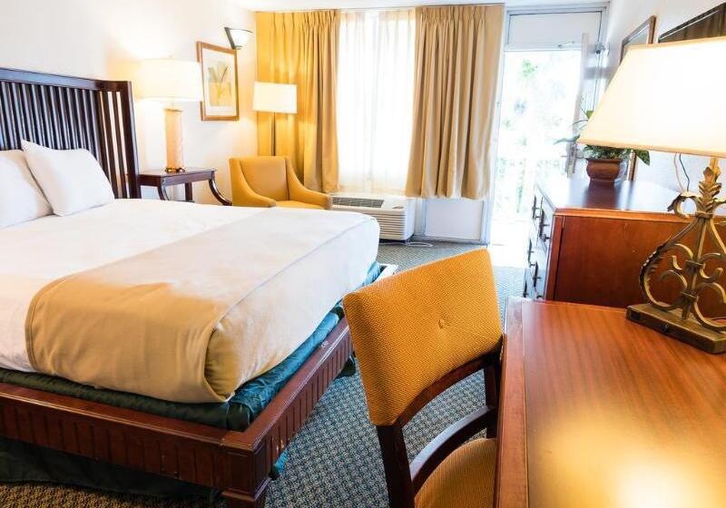 בית מלון כפרי Vista Inn And Suites Tampa