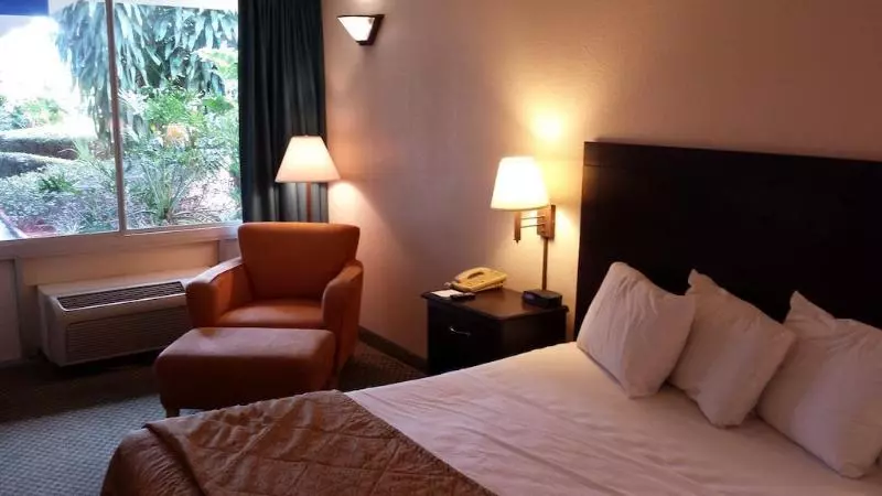 فندق Vista Inn And Suites Tampa