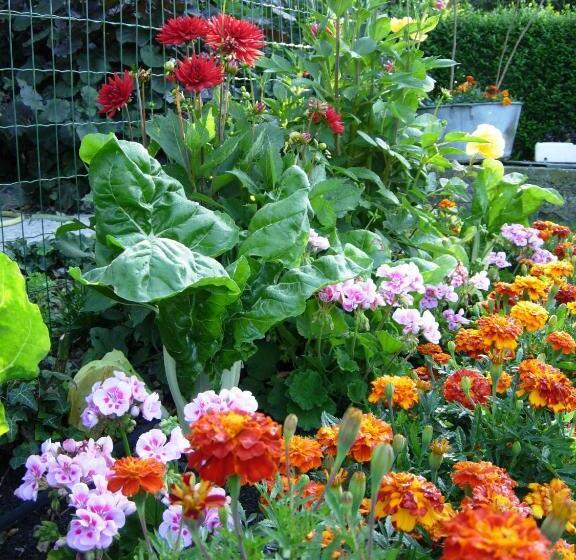 Logis Hotel & Restaurant La Paix