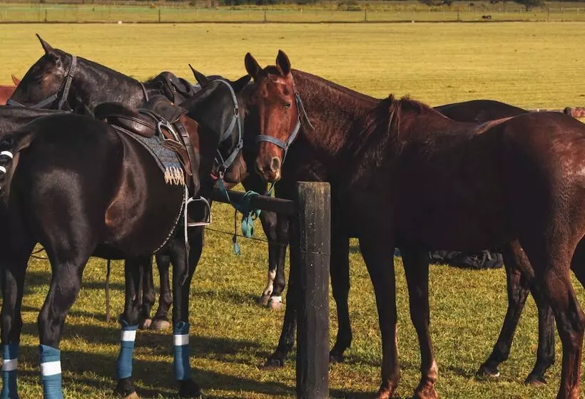 Курорт Wyndham Garden Lujan