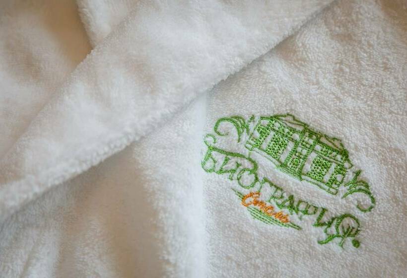 Mini Hotel Biography