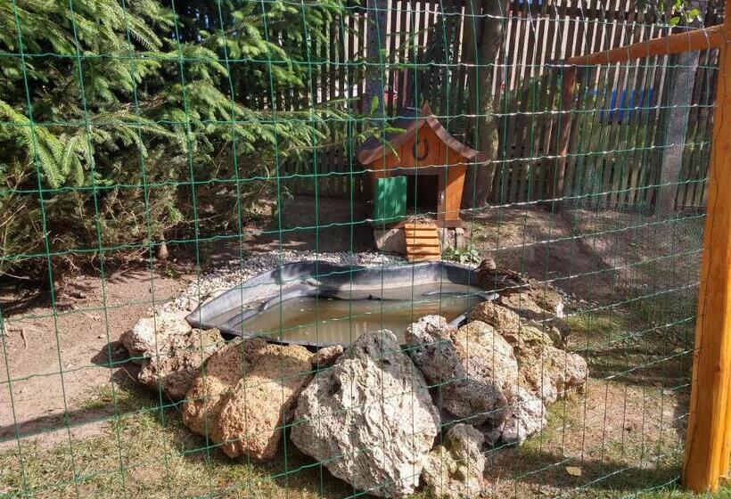 ペンション Pezión Limbový Dvor