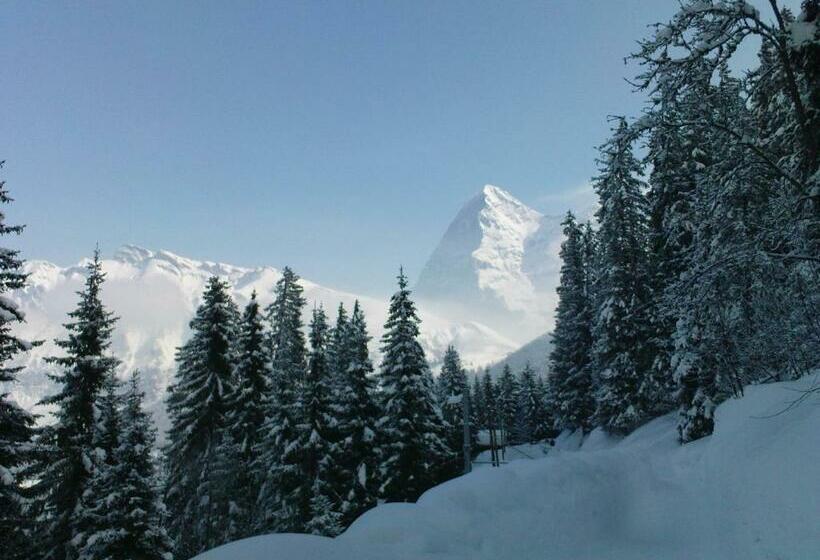 Pension Gimmelwald