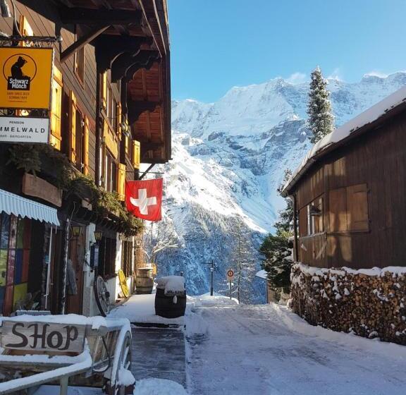 Pension Gimmelwald
