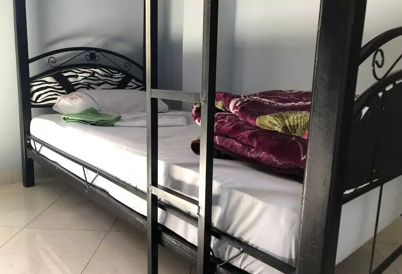 Tanja Lucia   Hostel