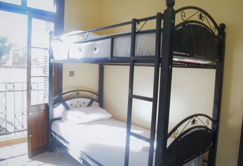 Tanja Lucia   Hostel