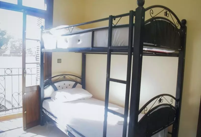 Tanja Lucia   Hostel