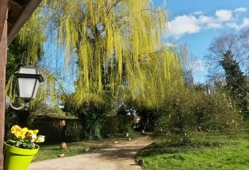 هتل Hostellerie Sarrasine Macon Est