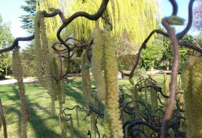 هتل Hostellerie Sarrasine Macon Est