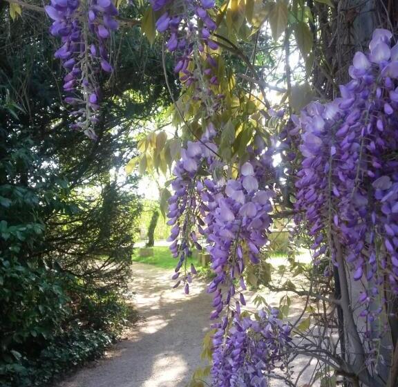 Hotelli Hostellerie Sarrasine Macon Est
