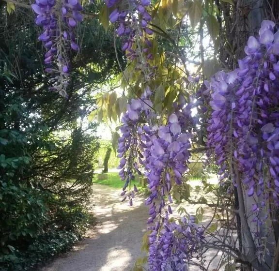 هتل Hostellerie Sarrasine Macon Est