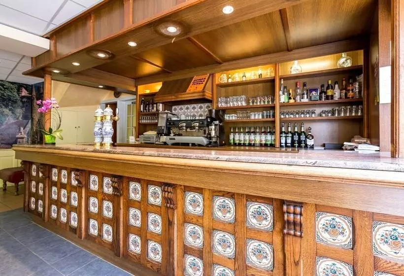 酒店 Hôtel Des Voyageurs