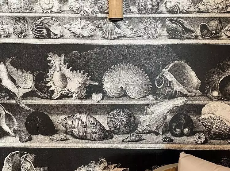 酒店 Hôtel L Albatros