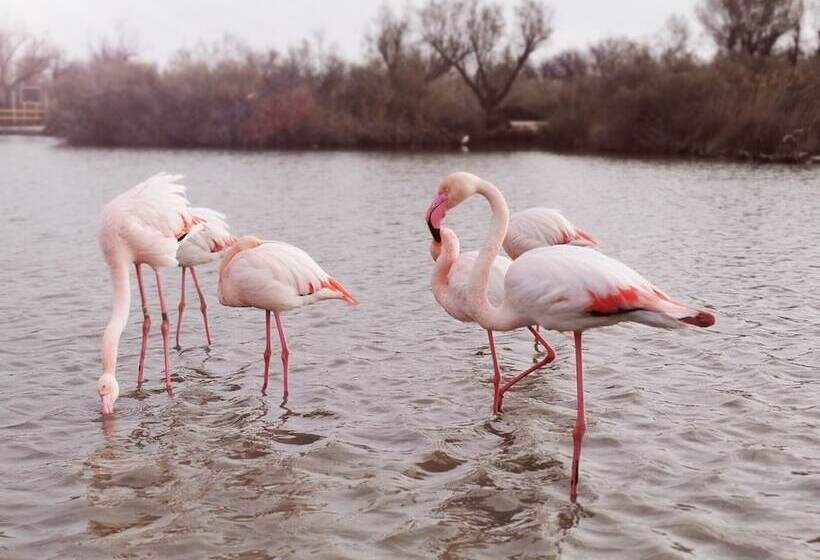 ホテル L Auberge Camarguaise