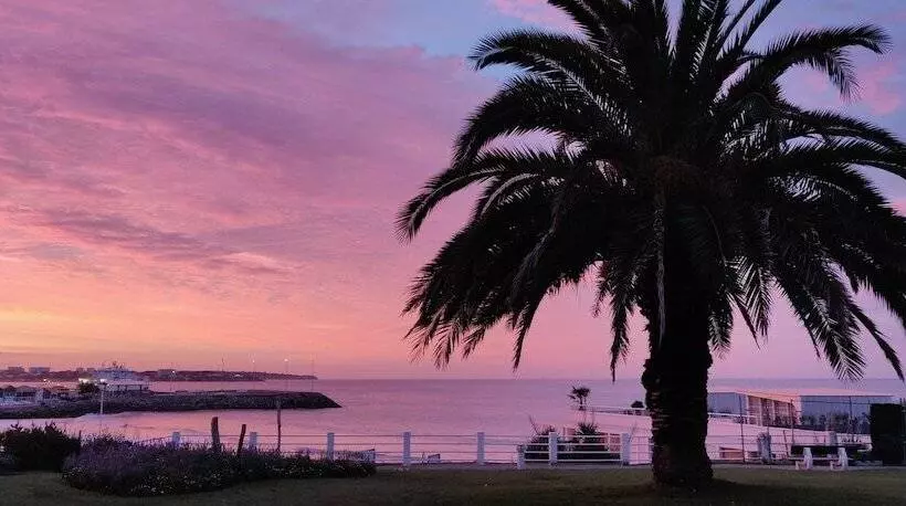 酒店 Logis Hôtel Les Bleuets