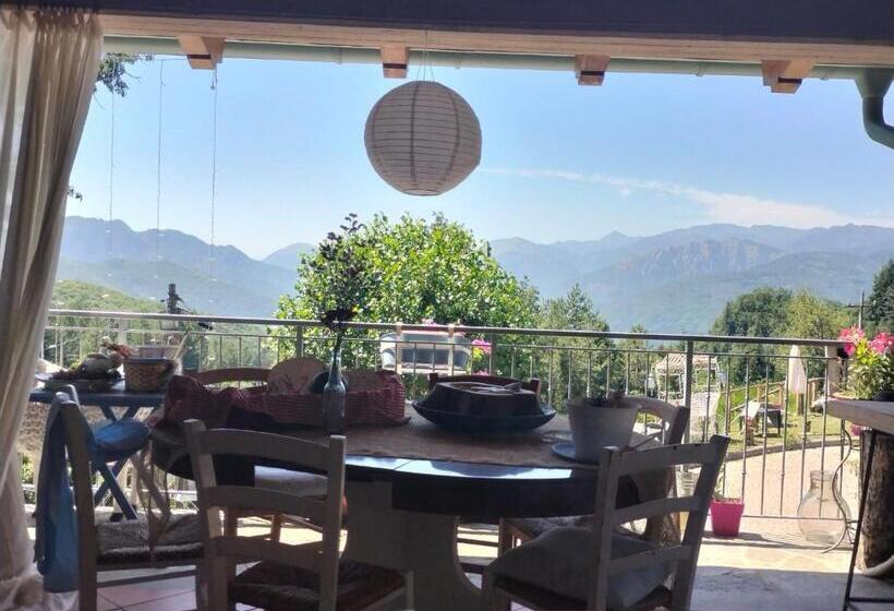 Alla Tana Del Bianconiglio