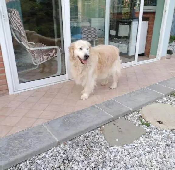 Alla Tana Del Bianconiglio