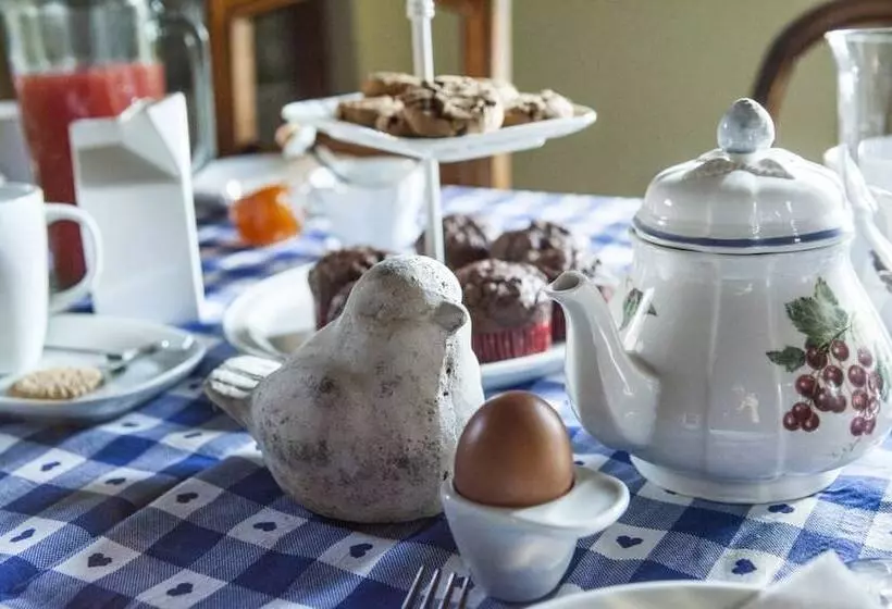 Aamiaismajoitus (B&B) Al Giardino Degli Etruschi