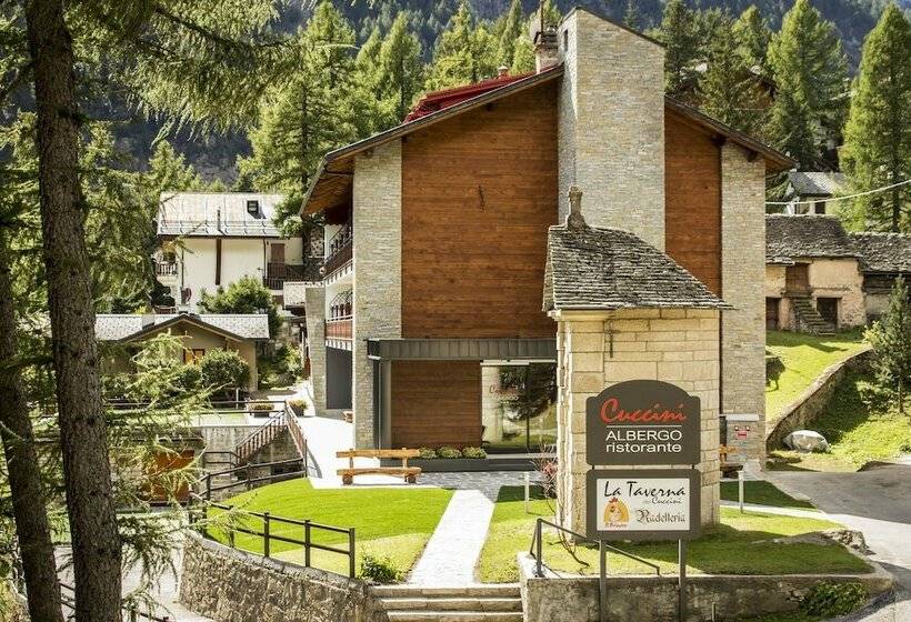 فندق Albergo Ristorante Cuccini