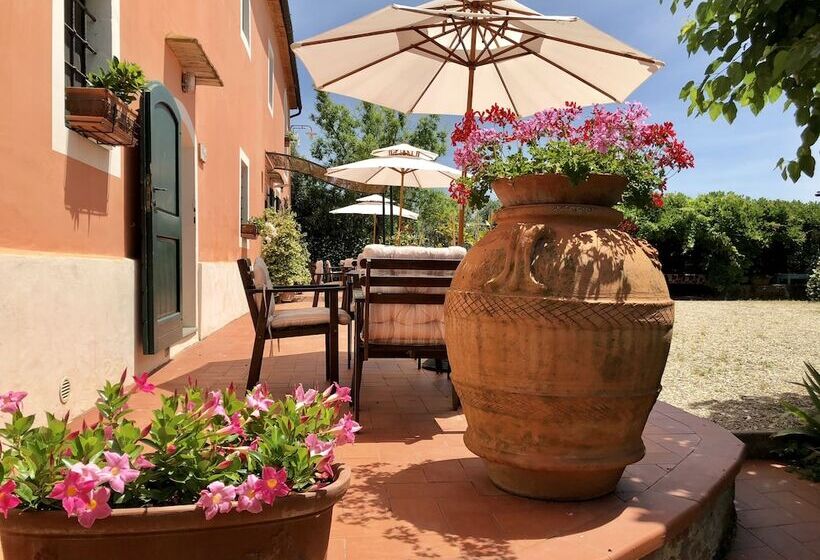 乡村酒店 Agriturismo Podere Marchiano