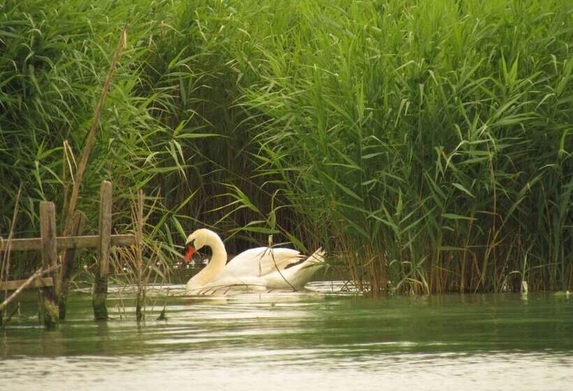 پانسیون Ca  Adami