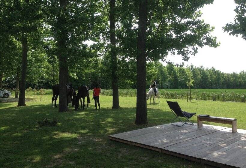 پانسیون Ca  Adami