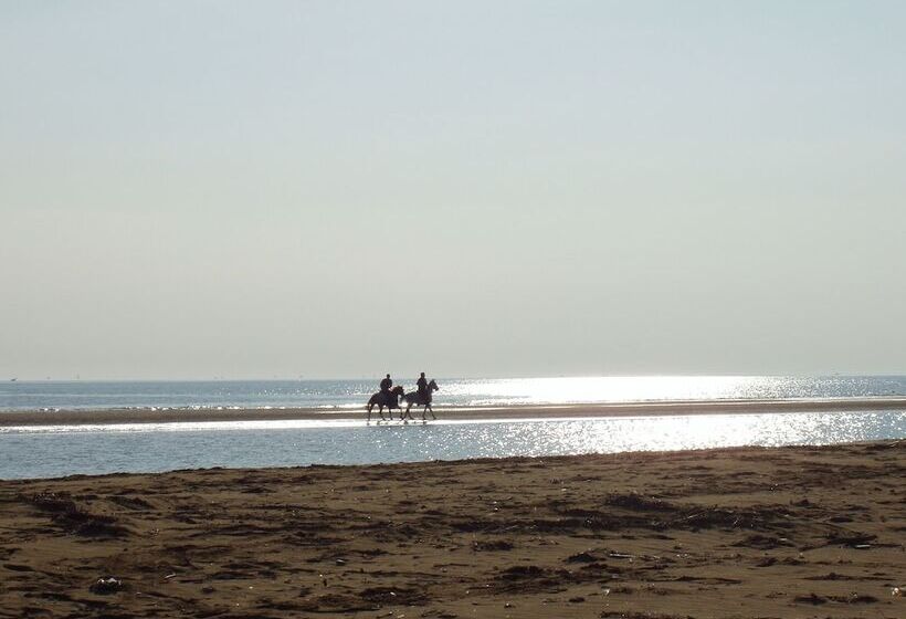 پانسیون Ca  Adami